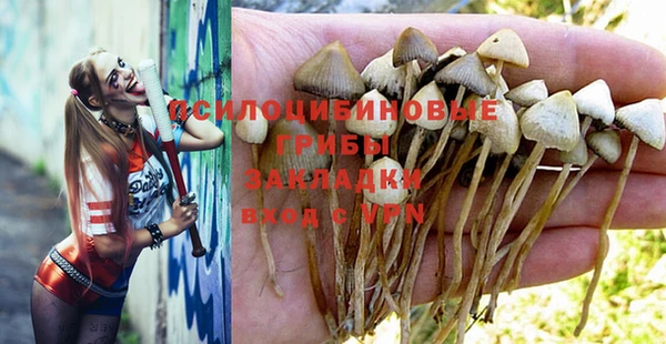 не бодяженный Нея