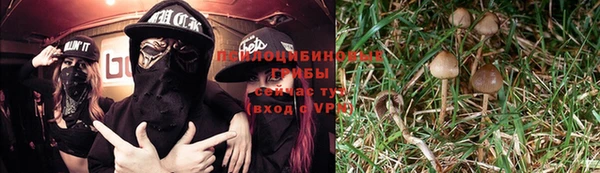 героин Новодвинск