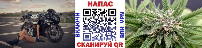 Купить где  Козловка  Каннабис OG Kush 